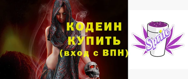 гашик Переславль-Залесский