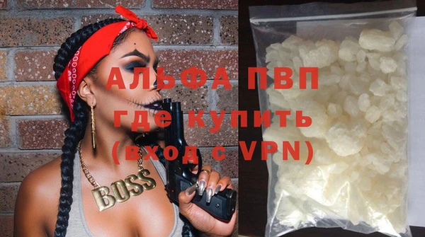 стаф Абаза